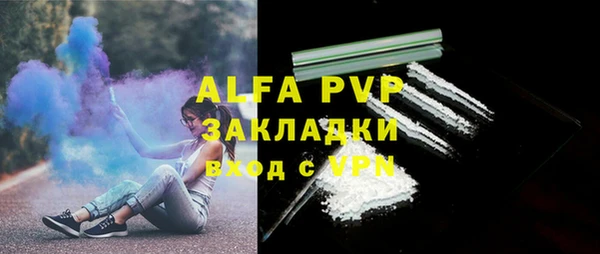 a pvp Аркадак