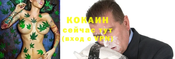 a pvp Аркадак