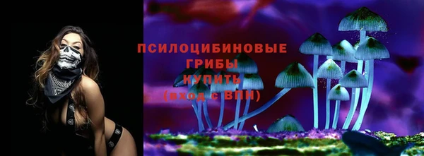 кокс Армянск