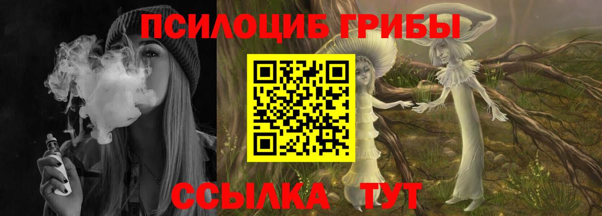 Псилоцибиновые грибы прущие грибы Шахты