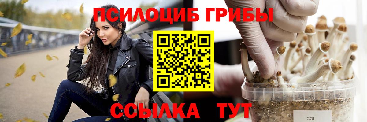 купить наркотики цена  Галлюциногенные грибы GOLDEN TEACHER  Шахты  Вход с VPN  Псилоцибиновые грибы Cubensis 